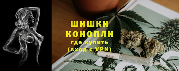 ECSTASY Иннополис