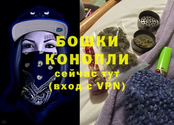 дмт Инта