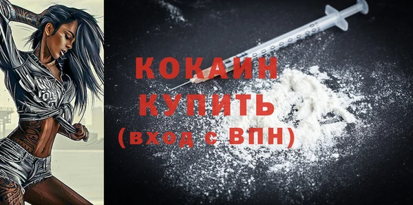дмт Инта