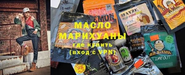 дмт Инта