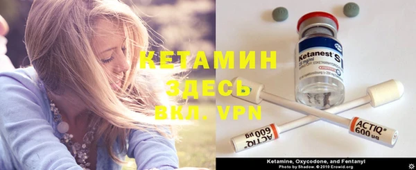дмт Инта