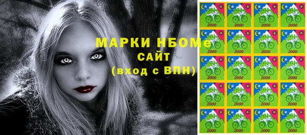 дмт Инта