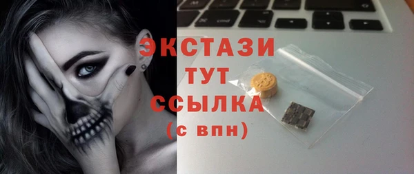 дмт Инта