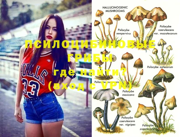 дмт Инта