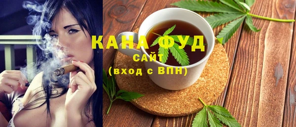 дмт Инта