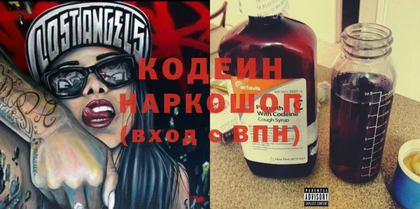 дмт Инта
