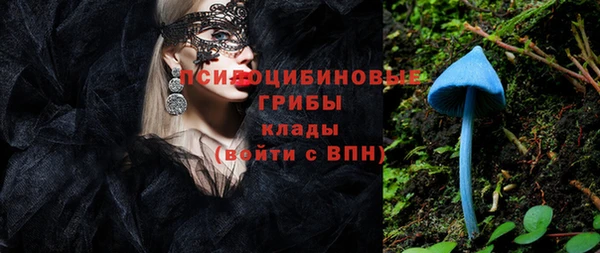 дмт Инта