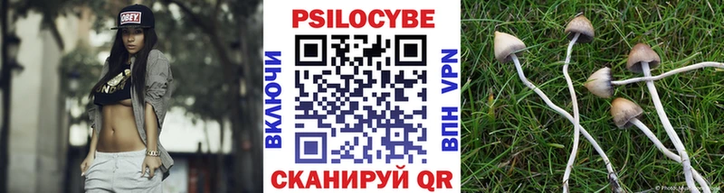 Купить  Люберцы  Галлюциногенные грибы мицелий 