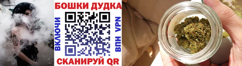 Бошки Шишки гибрид  Купить закладки  Люберцы 